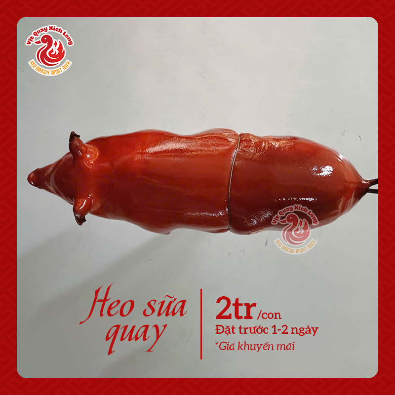 Heo quay cả con